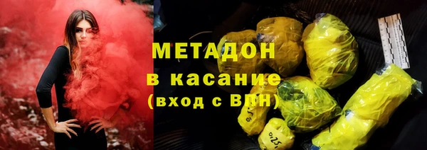хмурый Аркадак