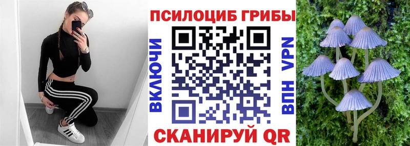 Псилоцибиновые грибы ЛСД  даркнет сайт  Якутск 