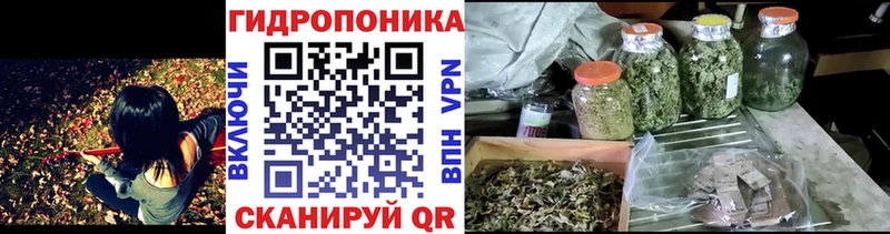 Бошки марихуана Ganja Якутск